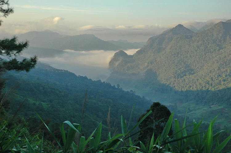 Daoi Ang Khang view