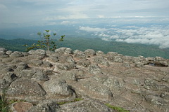 Phu Hin Rong Kla nodule field