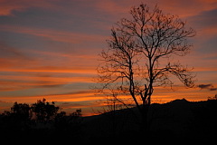 Phu Suan Sai sunset