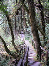 Summit boardwalk