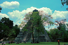 Tikal