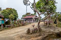 Minggrei