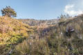 Wamena