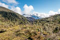 Wamena