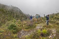 Wamena